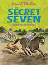 Mystery (eBook): Secret Seven Series, Book 9